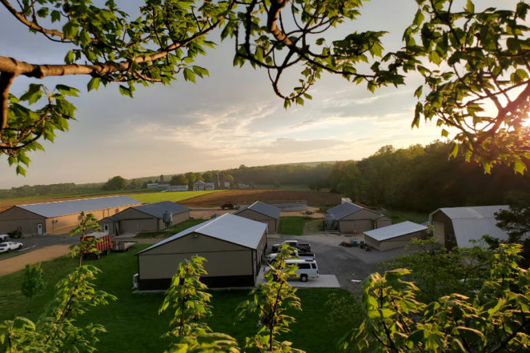 Shirlock Acres Farm