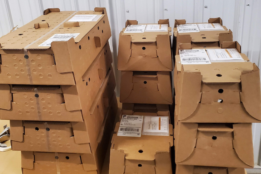 ducklings in boxes with proper holes for delivery in Kansas