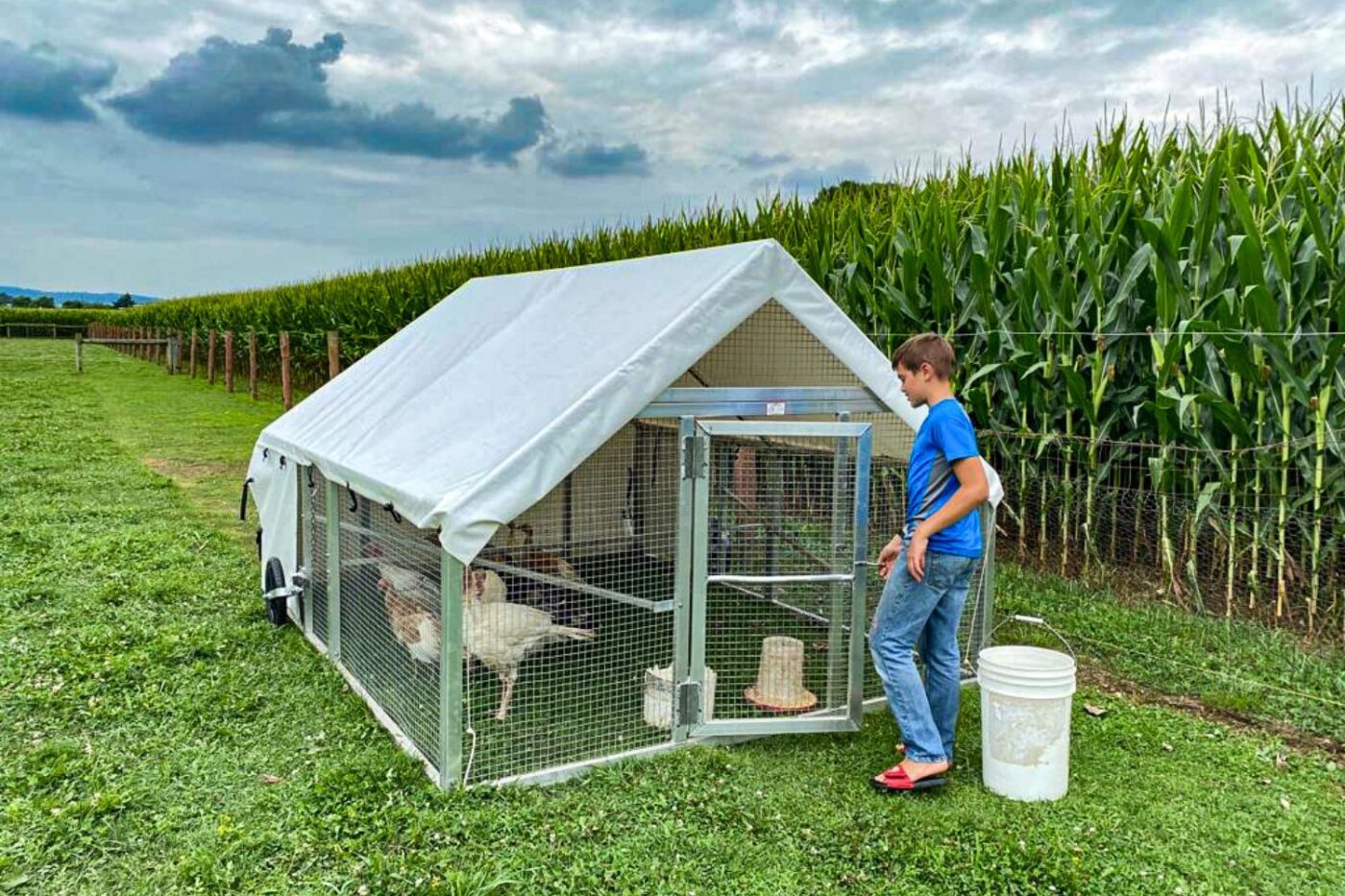 happy farmer mobile duck coop